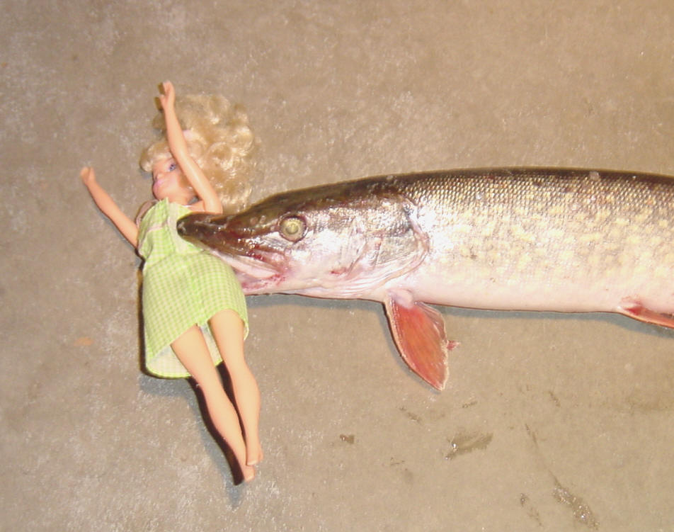 barbie doll fish